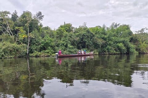 Yacuma Pampas Jungle Tour 3 Days from Rurrenabaque