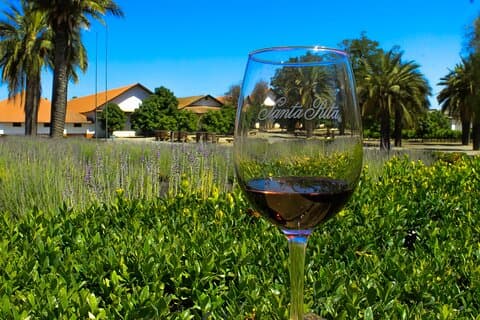 Half Day Santa Rita Vineyard Tour