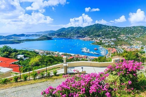 Da Conch Crawl- Walking Tour and Bar Crawl Downtown St. Thomas