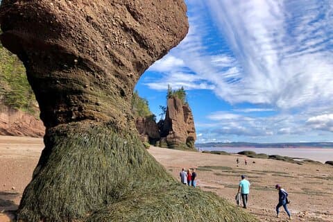 Private Shore Excursion to Hopewell Rocks and Fundy National Park