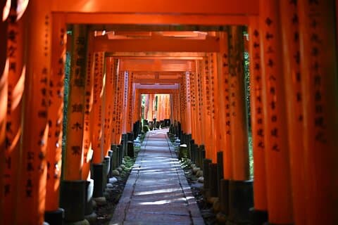 Private Kyoto Tour by Car with Optional Nara or Osaka Add-Ons
