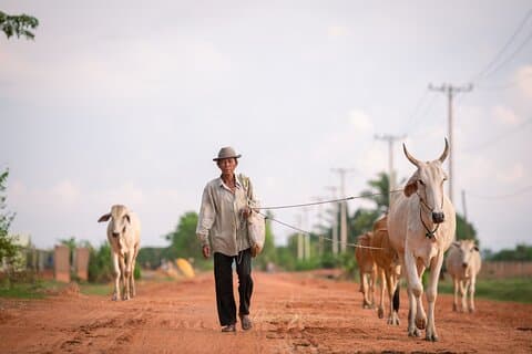 Hidden Gems of Siem Reap Private Tour & Customizable