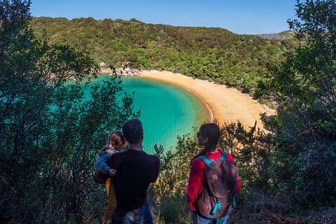 Full-Day Abel Tasman National Park Hiking Tour with Cruise
