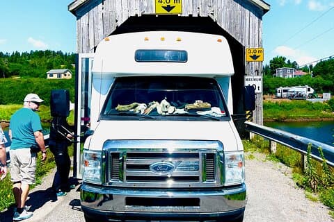 Fundy Shore Tour By Bus