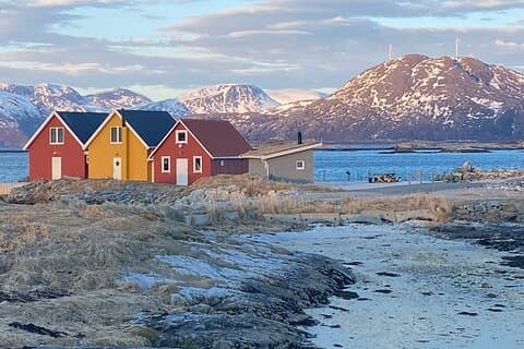 Tromsø Arctic Fjords Adventure Tour with Local Lunch