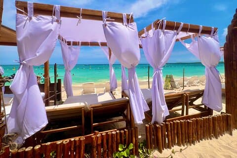 Visit in Cartagena Playa Blanca in Baru Island
