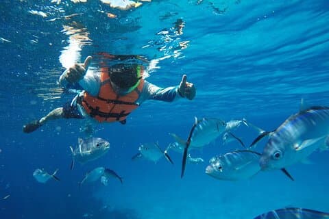 Snorkeling Shared Sky Tour in Cozumel with C