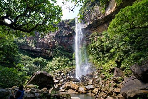 Iriomote’s Adventure: Pinaisara Falls Canoe and Trekking Tour