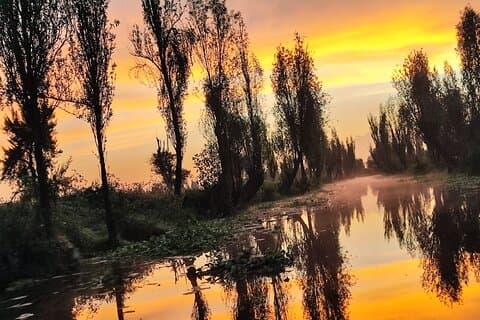 Xochimilco at dawn in Canoe or Kayak and Organic Breakfast