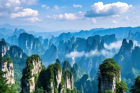 Zhangjiajie National Forest Park One-Day Tour