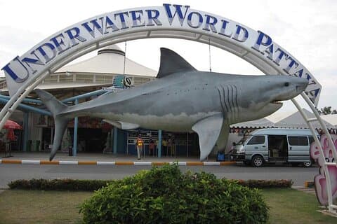 Underwater World Pattaya Tickets with Optional Hotel Transfer