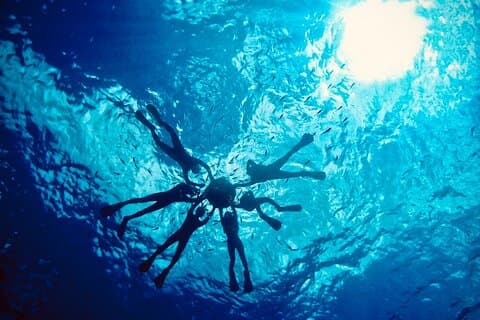 Blue Cave & Tropical Fish Snorkeling ！Free Photo Gift Included