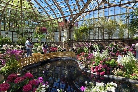 Lincoln Park Zoo & Nature Museum Private Walking Tour