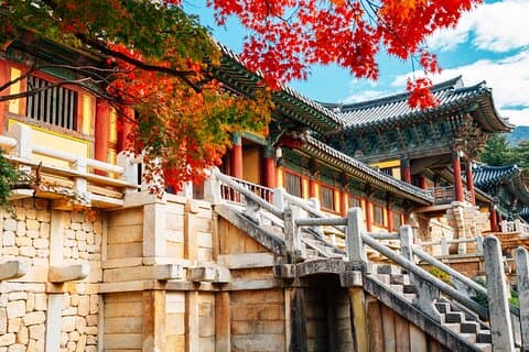 From Busan to Gyeongju UNESCO Authentic Tour