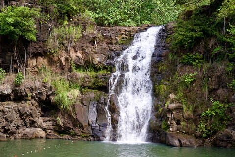 Private North Shore Tour with Waimea Waterfall/Botanical Garden