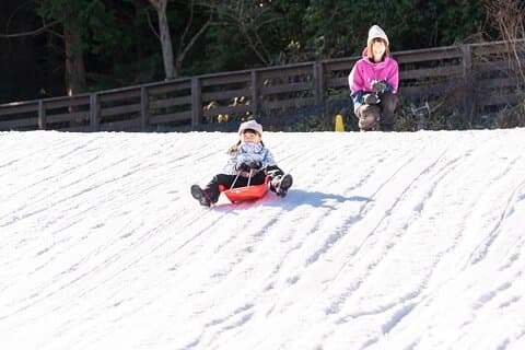 Play with Snow Crab Buffet Lunch and Strawberry Picking Bus Tour
