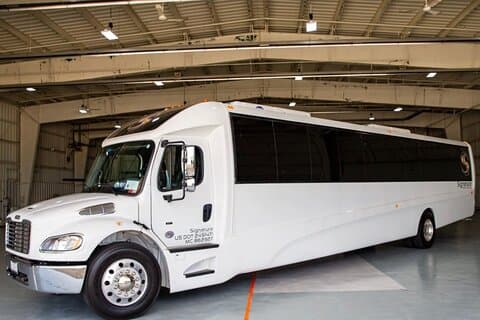 Luxury Minibus Chicago City Tour