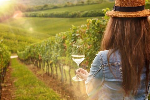 Tour Etna & Wine Tasting Private