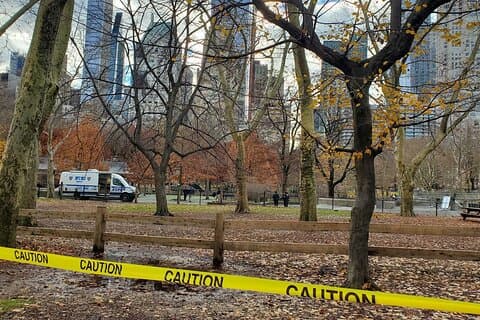 Central Park: Scandal & Vice Walking Tour
