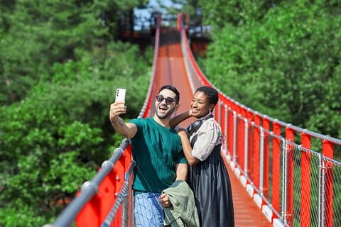 Best DMZ Tour Korea from Seoul (Suspension Bridge & JSA Museum)