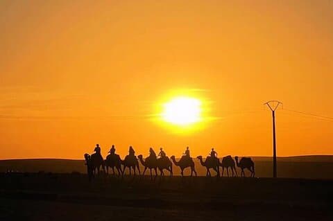 Agafay Desert Dinner & Camel Ride from Marrakech