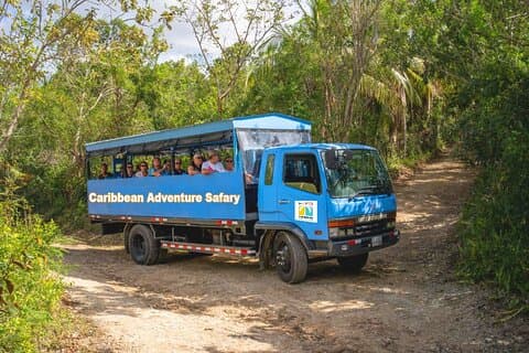 Full Day Eco Safari Adventure and Cultural Tour