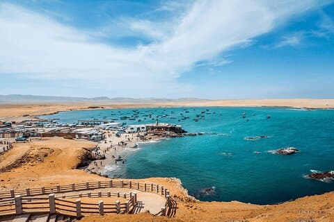Tour DE Paracas National Reservation