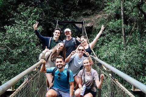 Kangaroos, 6 Springbrook Waterfalls and Natural Bridge Day Tour