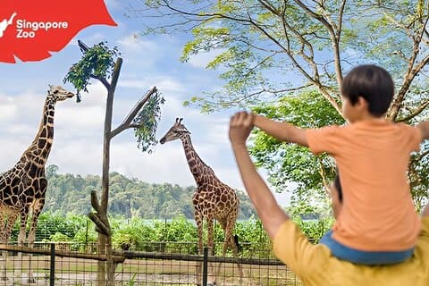 Singapore Zoo Entry Ticket