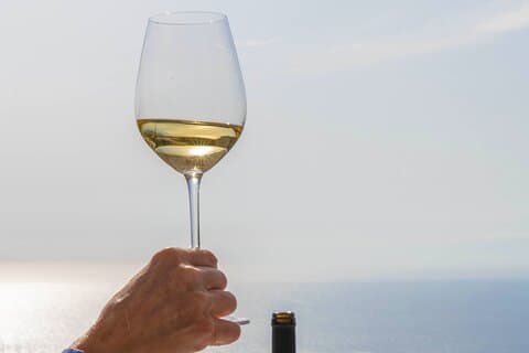 Syros wine tasting and village walk