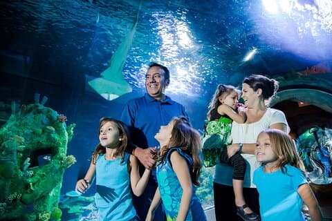 Sea Life Charlotte Concord Aquarium Admission Ticket