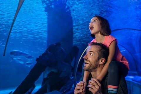 SEA LIFE Aquarium Minnesota Admission Ticket at Mall of America