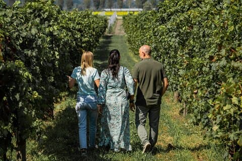 DA Padova: Wine tour in the Euganean Hills