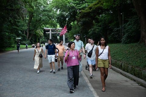 Harajuku Meiji Shrine Walking Tour in Tokyo