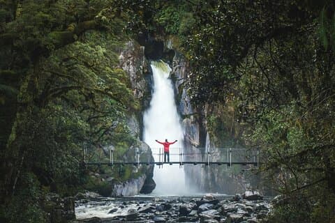 Milford Sound Nature Cruise and Self-Guided Scenic Track Walk