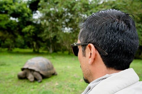 Transfer Baltra to Santa Cruz + Galapagos Tortoise Visit | Shared