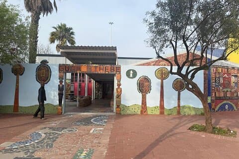 Cape Town Full Day Big Cats Safari, Township and Wine Tasting