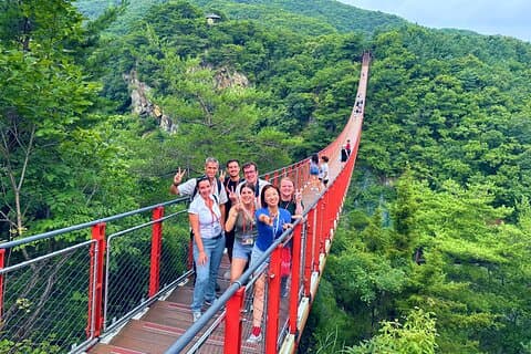 2026 Travelers’ Choice Best of the Best: DMZ Tour from Seoul