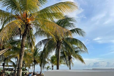 Island Tour – Snorkel with sea turtles and beachhop the westcoast