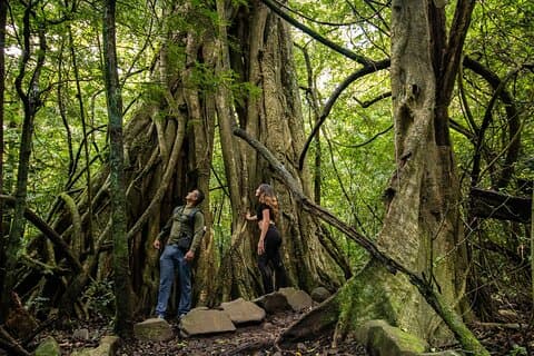 "Volcano Adventure & Hot Springs Tour from Guanacaste