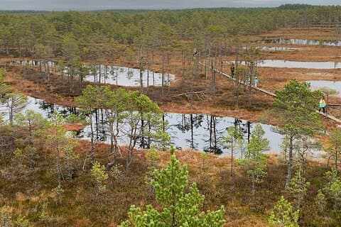 Lahemaa National Park in a Day Tour