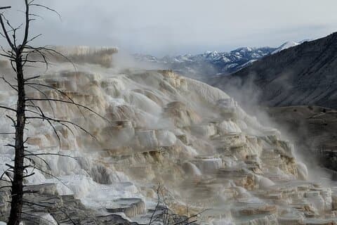 Yellowstone PRIVATE Winter SAFARI and Wolf Watching
