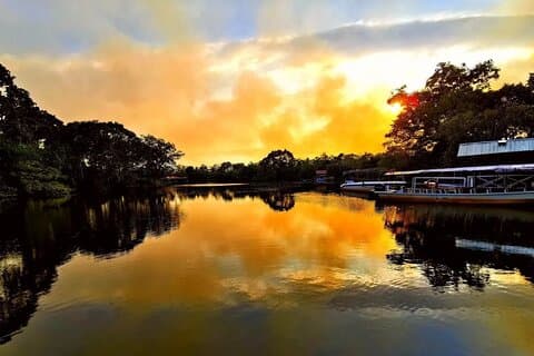 Klias River Cruise and Proboscis Monkey