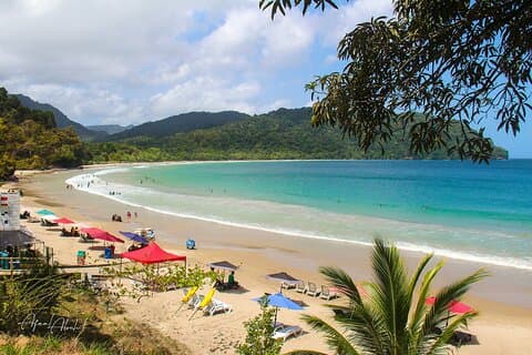 A True Trinidad North Coast Excursion experience