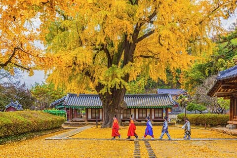 Jeonju Hanok Village Full-Day Tour: Jangtaesan Green Forest