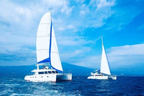 Private Tour in South Jeju including Yacht, Falls & Mt.Halla