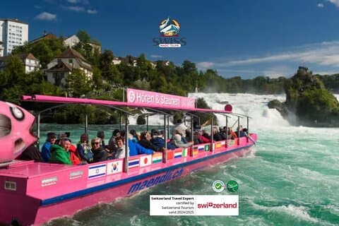 Rhine Falls & Stein am Rhein Private Day Trip