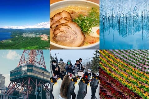 Private 1 Day Hokkaido Tour from Sapporo Customizable Itinerary