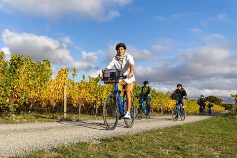 Morning Guided with Afternoon Self-Guided Biking Wine Tour