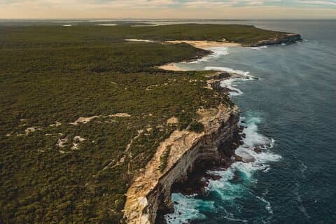 Sydney: Royal National Park Coast & Rainforest, Koalas & Lunch